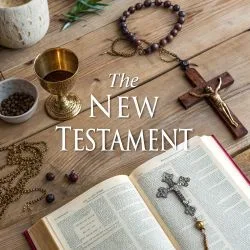 #509 The Bible New Testament