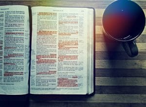 Highlighted Scriptures