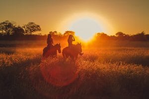 Enjoying Horse Riding