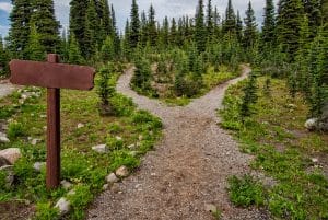 Which Path to take